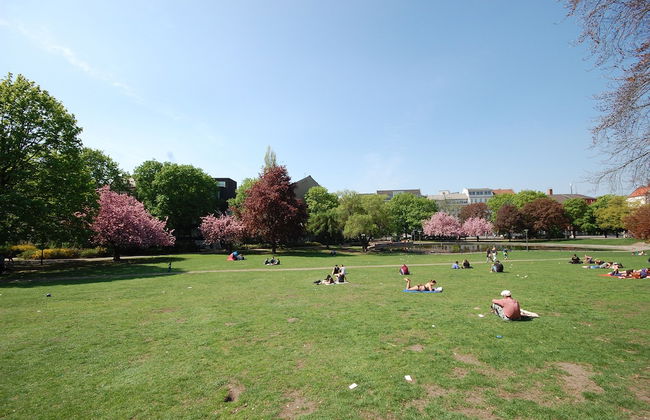 Parkview Apartments - Foto 53