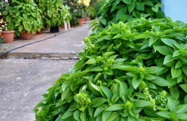 Nautilus Apartments - Foto 17