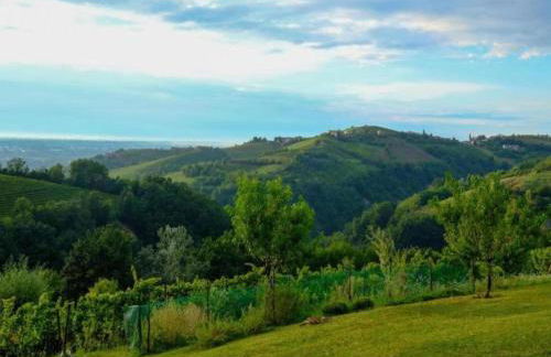 Mansion in Langhe With Pool and Winery Charm - Foto 38