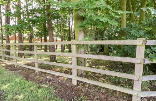 Washburn Lodge - Photo 24