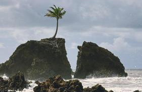 Apartamento Aconchego de Carapibus - Photo 30