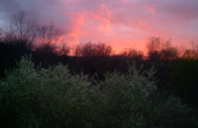 Agriturismo le Cammarose - Photo 39