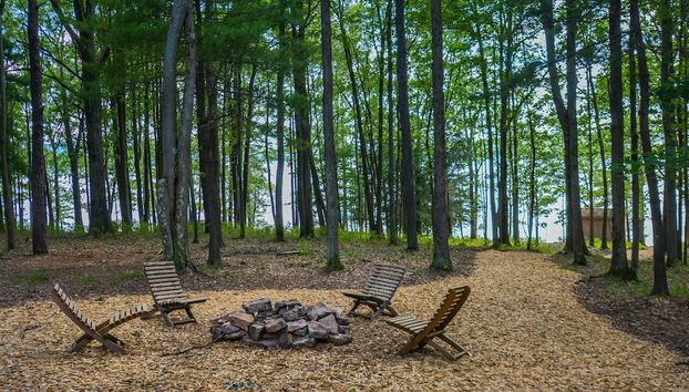 Servizio della struttura