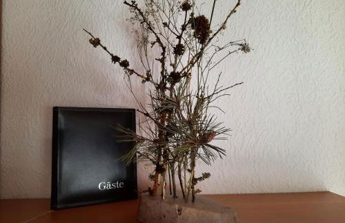 Ferienwohnung Schinn - Foto 22