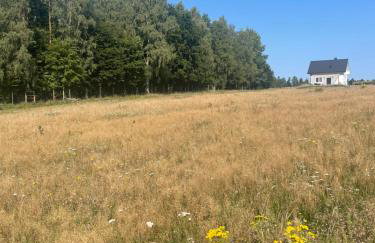 DoWielina - domki wśród natury - Foto 38