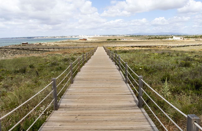 BaySide Salgados - Photo 27