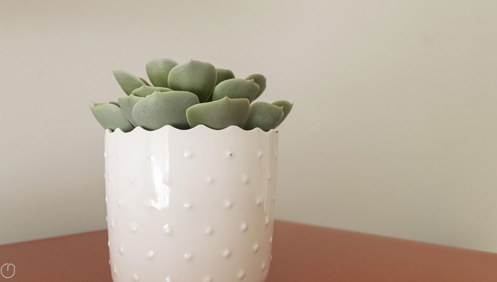 Italianway Collection - Stradivari 4 - Foto 1, Habitación