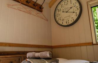Piano Forte - a delightful rural shepherd hut & hot tub available ! - Foto 12