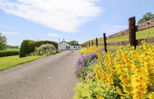 Bryn Bras - Photo 45