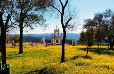 La Flor De La Xara - Foto 33