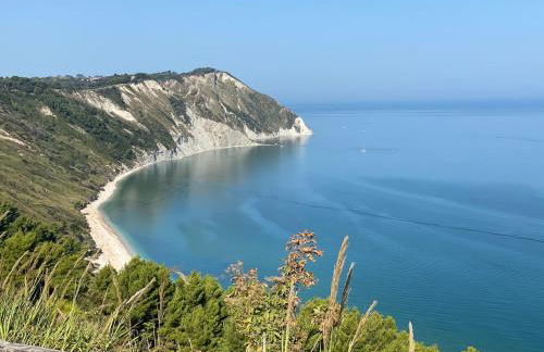 Ancona Centro - Foto 19