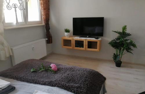 Przy ratuszu - Foto 11