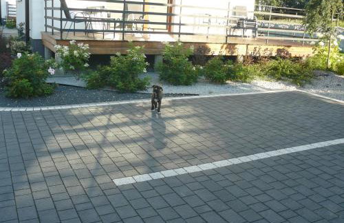 Zator Lider House Energy - Foto 19