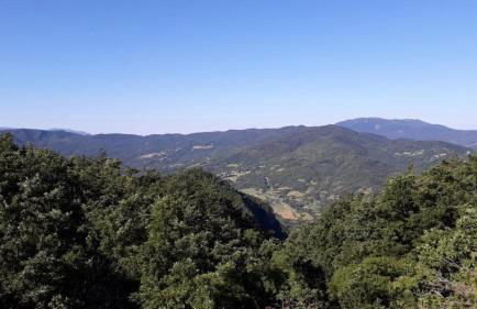 Ca' d'Alfieri - Photo 11