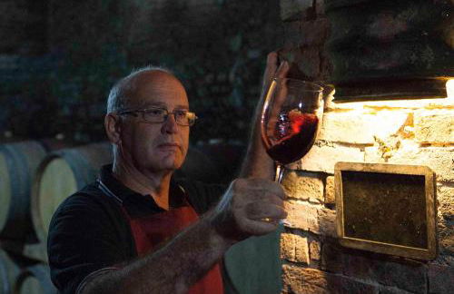 Fattoria Poggio Capponi - Foto 13