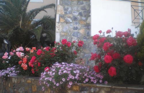 Apollon (ex. Albatros) - Foto 19