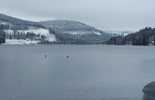 Haus Heidelberg - Foto 69