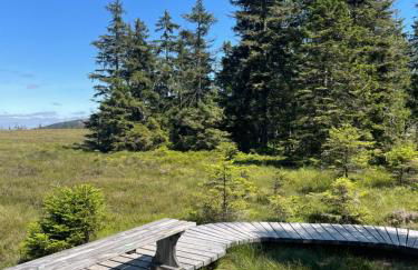 Harz Escape - Foto 28