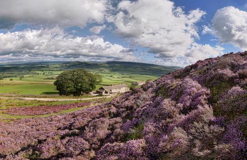 Moor Tops by Birch Stays - Photo 2