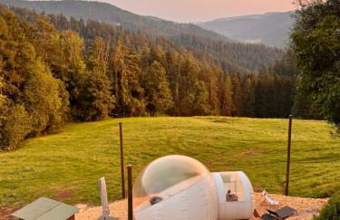 Hansjörgenhof Bioland-Hof - Foto 24