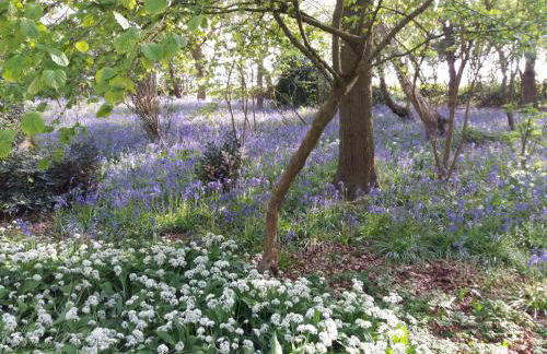 La Parenthese Bois de Cise - Foto 33