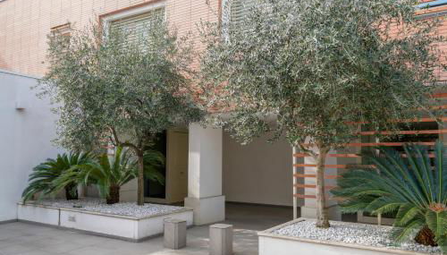 Appartamento Il Castello - Foto 2