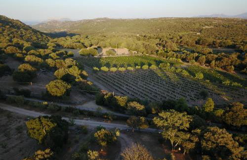 Résidence Villa Smeralda - Foto 47