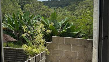 Sítio em São Pedro de Alcântara - Foto 3