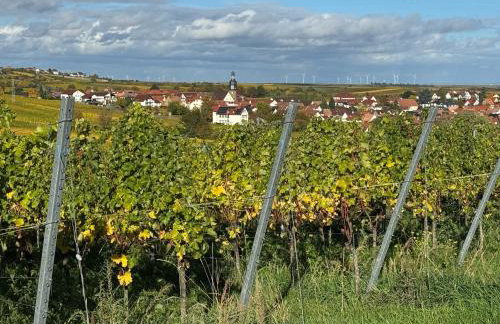 Die "Alte Schmelz"- Boutique-Landhotel & Restaurant - Foto 59