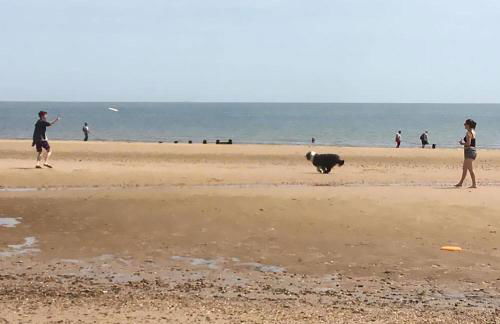 Stable Cottage - Foto 39