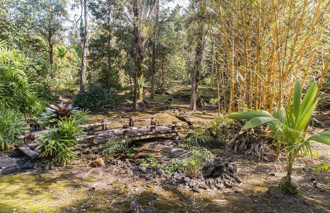 Peace Of Paradise 1 Bedroom Cabin by RedAwning - Photo 26