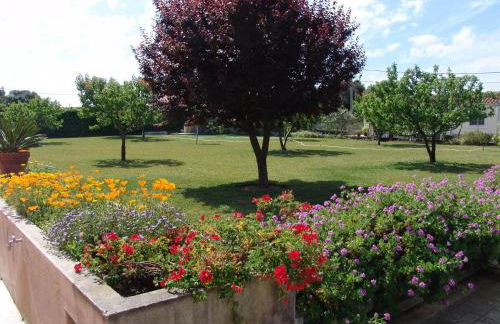 Quinta de Malmedra - Foto 39