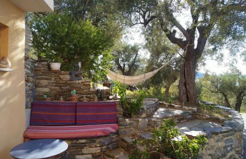 '' I FOLIA '' / ' 'LE NID '' - Foto 12