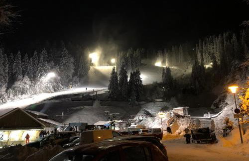 Zur alten Fabrik - Photo 43