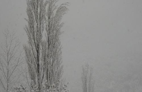 Apartamentos Estop - Foto 42