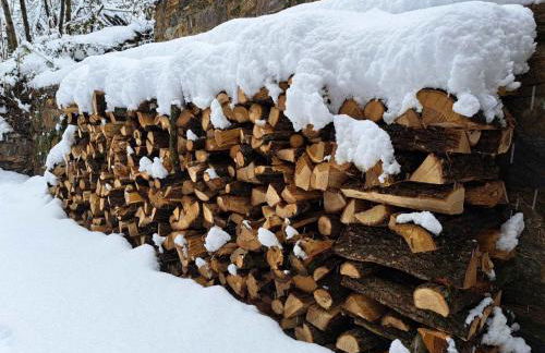 Rectoria Nova - Foto 34