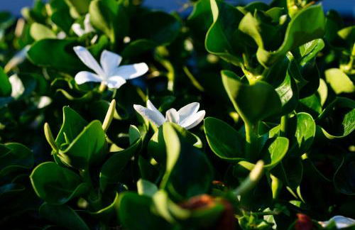 Villa Lucy ecoresidence - Foto 65