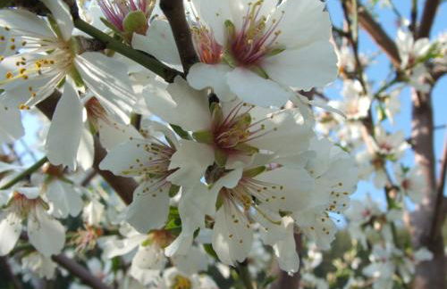 Agriturismo biologico 'A Lanterna - Foto 59