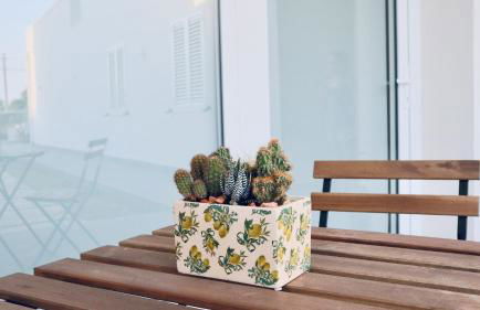 Donna Flavia summer relax - Photo 6