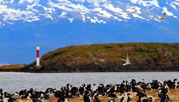 Paseo en yate por el Canal Beagle + Trekking por isla Bridges - Foto 5