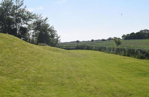 Der historische Silberhof von 1856 - Foto 30