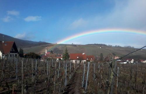 Gite Le Mandlé - Photo 69