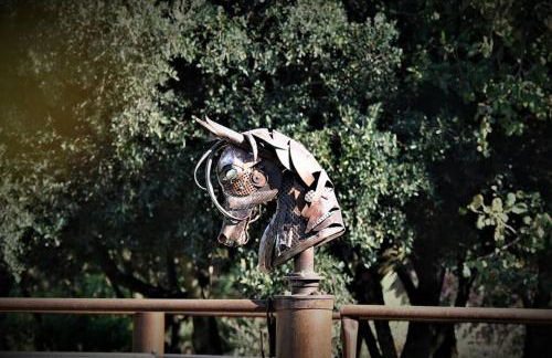 Coin de paradis en Provence - Foto 47