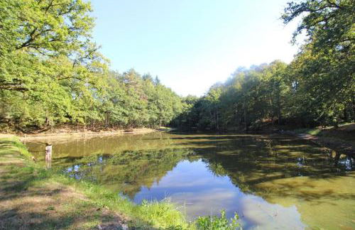 Le picatao, les flamanchies - Foto 35