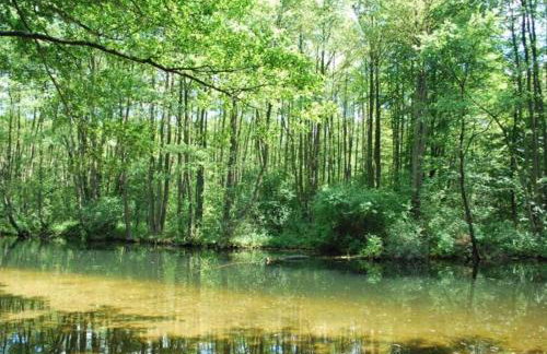 EUROPA22 Apartament z JACUZZI w samym sercu miasta Tomaszów Maz - balkon z widokiem na park i fontanny Szybkie zameldowanie od 13 - Foto 31