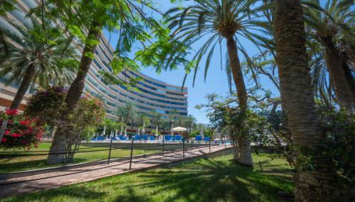 Seagulls melody C-208 - Foto 4