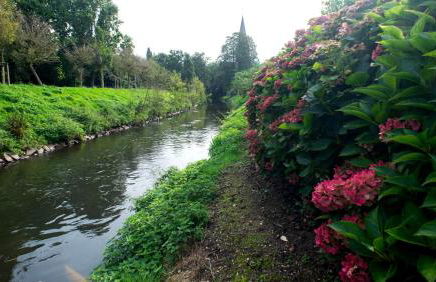 Gemütliches Apartment in stylischer Stadtvilla - Foto 51