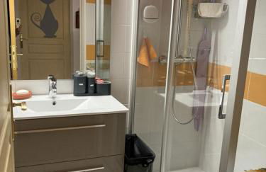 Appartement très agréable dans belle résidence, classé 3 étoiles par le comité départemental du tourisme en Haute Garonne - Foto 14