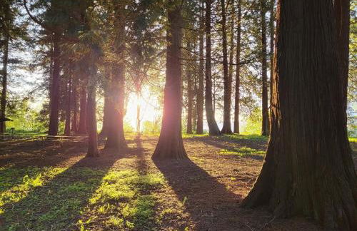 Caravan Across The Street From The Beach - Foto 23