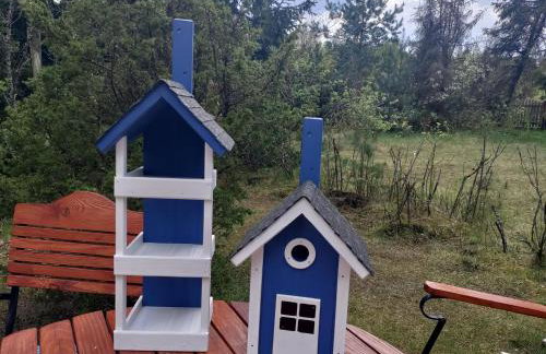 Widny Jaś zaprasza z psem nad jezioro na Kaszubach - Foto 45